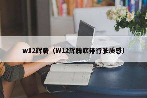w12辉腾（W12辉腾底排行驶质感）