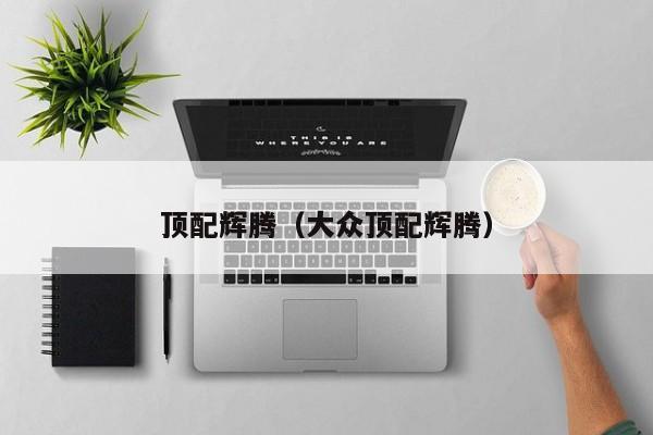 顶配辉腾（大众顶配辉腾）