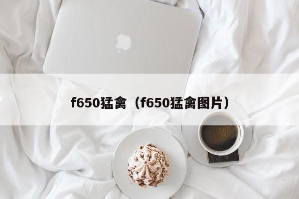 f650猛禽（f650猛禽图片）