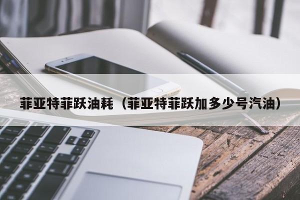 菲亚特菲跃油耗（菲亚特菲跃加多少号汽油）