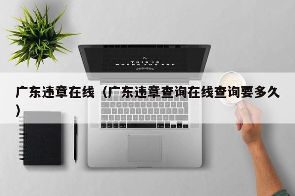 广东违章在线（广东违章查询在线查询要多久）