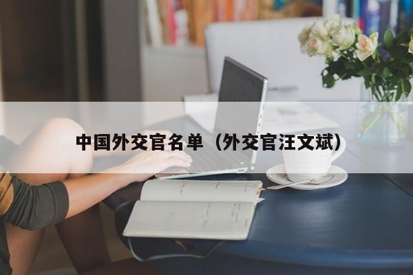 中国外交官名单（外交官汪文斌）