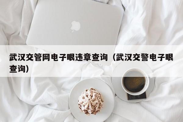 武汉交管网电子眼违章查询（武汉交警电子眼查询）