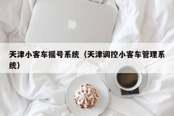 天津小客车摇号系统（天津调控小客车管理系统）