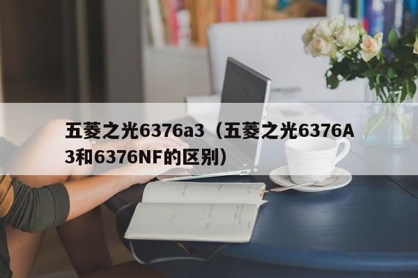 五菱之光6376a3（五菱之光6376A3和6376NF的区别）