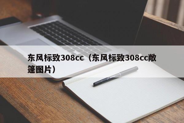 东风标致308cc（东风标致308cc敞篷图片）