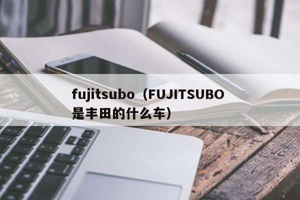 fujitsubo（FUJITSUBO 是丰田的什么车）