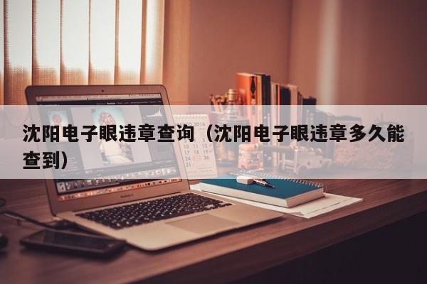 沈阳电子眼违章查询（沈阳电子眼违章多久能查到）