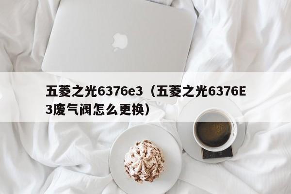 五菱之光6376e3（五菱之光6376E3废气阀怎么更换）