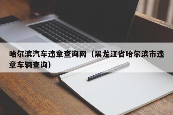 哈尔滨汽车违章查询网（黑龙江省哈尔滨市违章车辆查询）