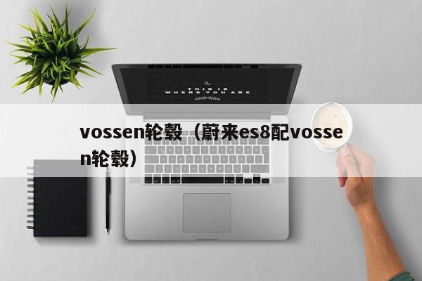 vossen轮毂（蔚来es8配vossen轮毂）