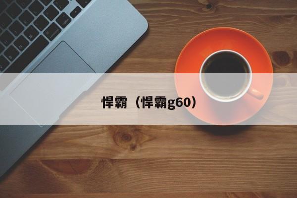 悍霸（悍霸g60）