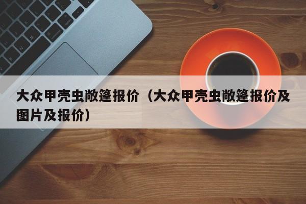 大众甲壳虫敞篷报价（大众甲壳虫敞篷报价及图片及报价）