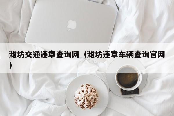 潍坊交通违章查询网（潍坊违章车辆查询官网）