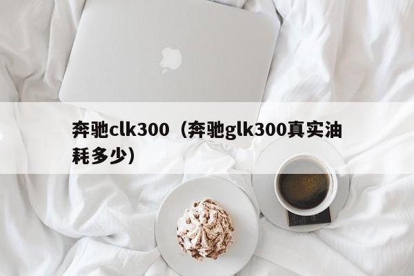 奔驰clk300（奔驰glk300真实油耗多少）